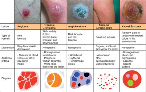 FMGE(MCI,USMLE) Study Materials and Practice Papers