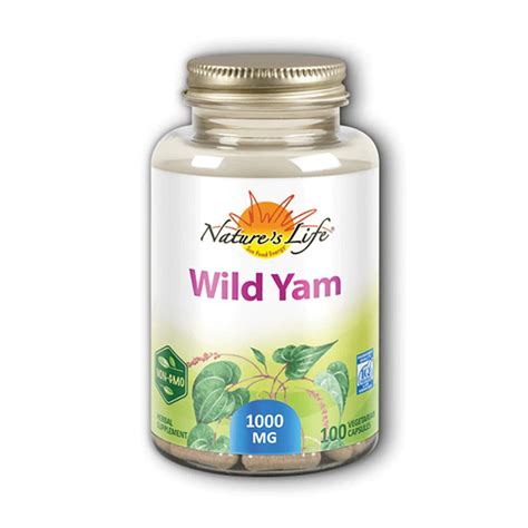 Nature's Life Wild Yam 1,000 mg 100 Vegetarian Capsules