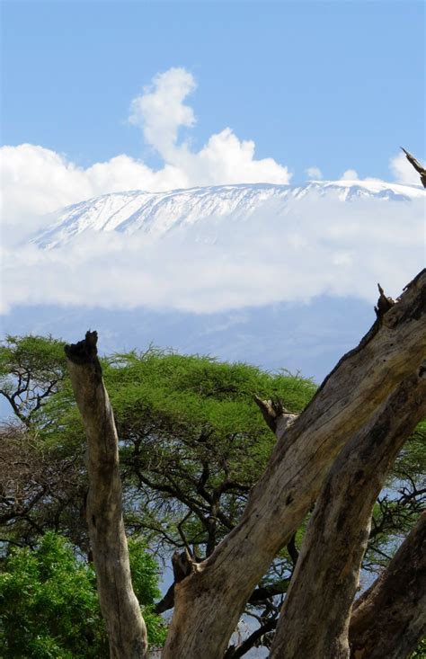 The largest park of ethiopian gambella national park wildlife safari ...