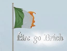 Irish Flag GIFs - Find & Share on GIPHY