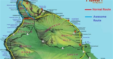 Gypsy Soul: Kohala Coast