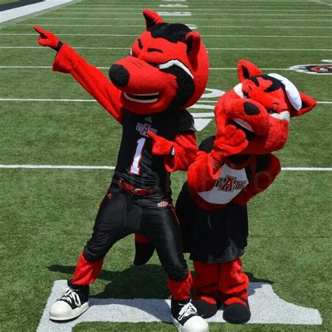 Pin by Rhonda Jones on Arkansas State Redwolves | Arkansas state ...