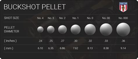 Buckshot vs Birdshot: What’s the Difference?