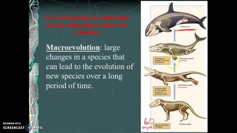 Speciation & Macroevolution Part 3 Bio 101 - YouTube