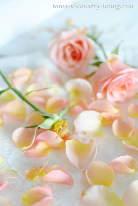 How to Make Rose Bath Salts - Town & Country Living