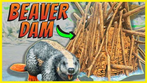 Crystal Isles Beaver Dams | Locations Included - YouTube