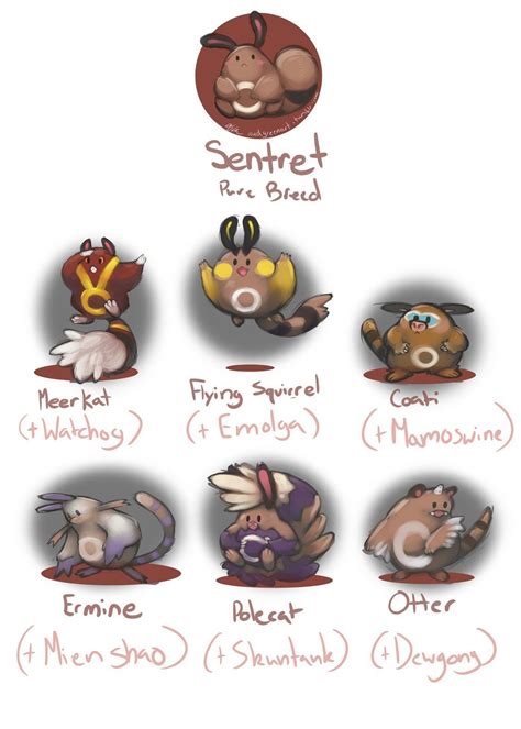 Sentret Variants 1 | Pokemon fusion art, Pokemon breeds, Pokemon