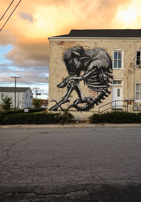 ROA's graffiti animals from around the world – in pictures | Street ...