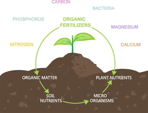 Most Beneficial Coco Coir Nutrients - Coir.com