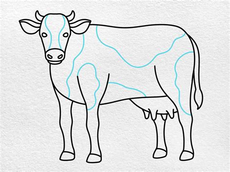 Easy Dairy Cow Drawing - HelloArtsy