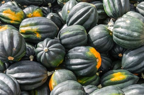 Health benefits of acorn squash – A Healthier Michigan