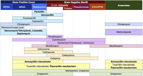 Image result for antibacterial coverage | Antibiotic, Antibiotics ...