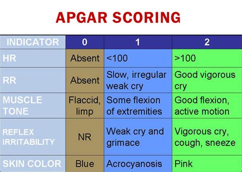 Apgar Score Calculator - Keep Vitality