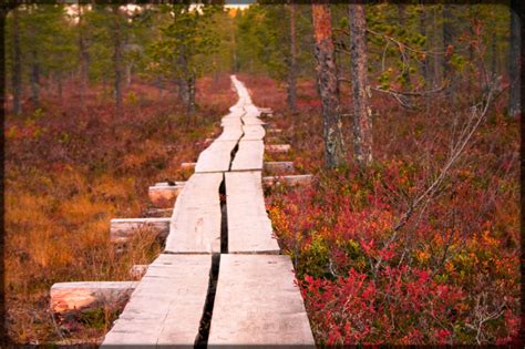 Ruska relief: 35 stunning photos of Finland's autumn colors - Ink Tank