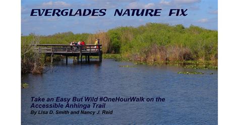 Everglades Nature Fix on the Anhinga Trail | Parks & Travel Magazine