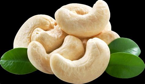 CASHEW KERNELS Exporters in Tamil Nadu India by SAINT GLOBAL TRADING ...