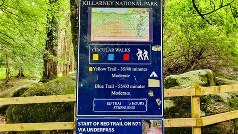 Visiting Killarney National Park: 5 Amazing Adventures