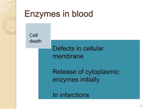 isoenzymes