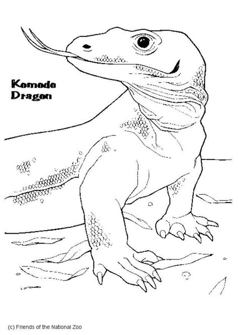 Dibujo de Dragón de komodo Para Colorear - Img 5983