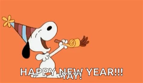 New Years New Years Eve GIF - New Years New Years Eve Happy New Year ...