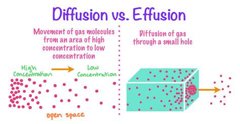 Diffusion and Effusion — Definition & Overview - Expii