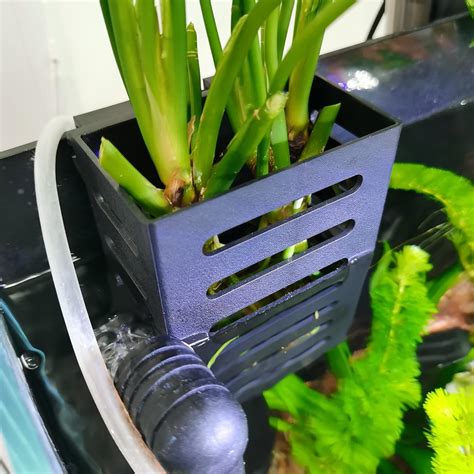 Amazon.com: spansee Upgraded Hanging Aquarium Plant Holder, Aquatic Plant Pot with Hole ...