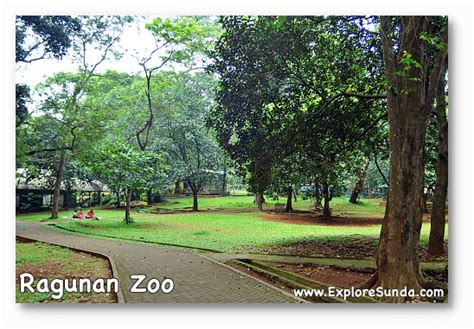 Ragunan Zoo, A Day Spent to See The Zoo and Have a Picnic in Jakarta