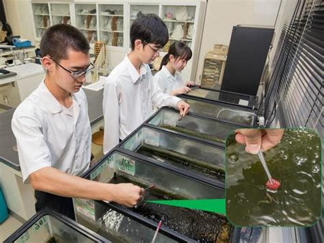 The desire to raise and protect endangered eels [Youth in Tune with Nature] | Stories | Science ...