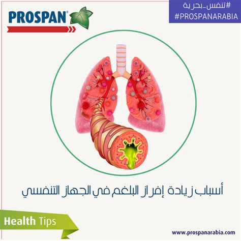 Causes and treatment of excess mucus production in the respiratory ...