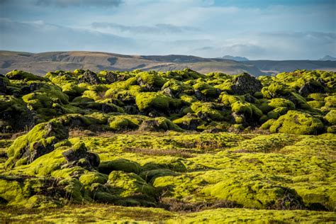 Eldhraun - Impressive Lava Field in Iceland | Iceland24