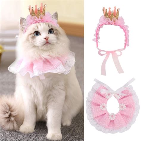 20 Best Halloween Costumes for Cats