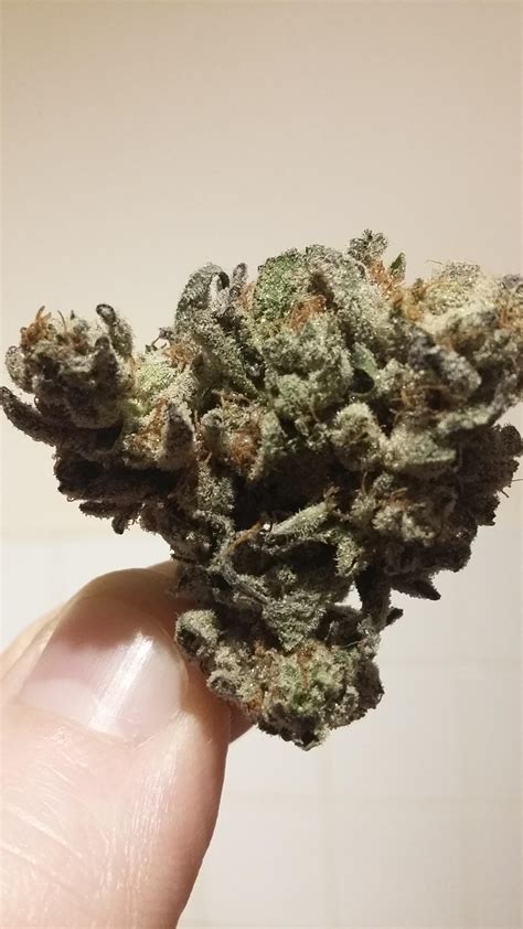 Stardawg. This is quickly becoming my favourite strain. : r/uktrees