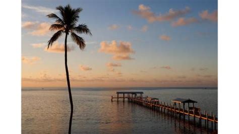 Cheeca Lodge & Spa in Islamorada, Florida - Kid-friendly Hotel Reviews ...