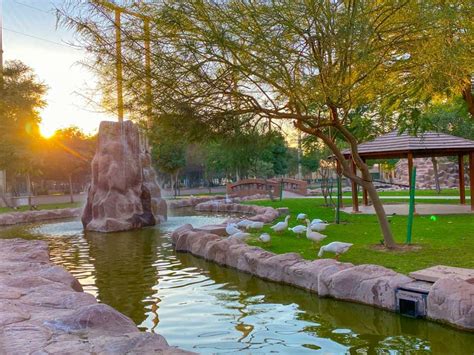 Everything you need to know about Al Khor Family Park in Qatar | Qatar ...