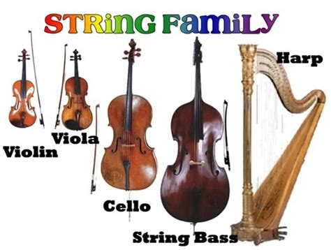 String Instruments List With Names