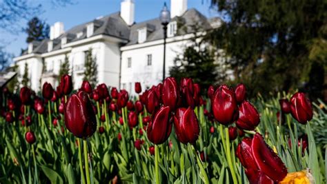 Spring flowers: See photos of Newfields' gardens in peak bloom