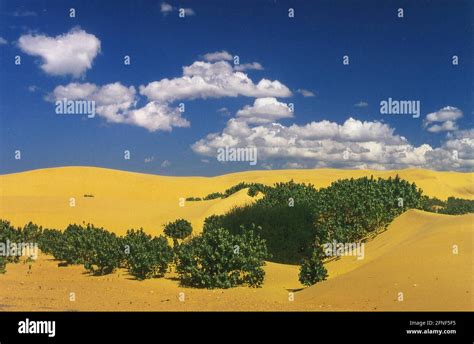 Medanos de coro national park hi-res stock photography and images - Alamy