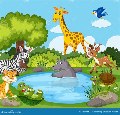 Wild animals around a pond stock vector. Illustration of bush - 126756671