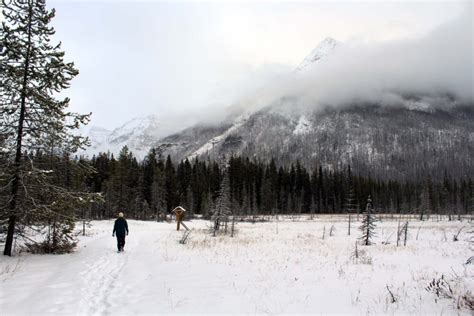 7 reasons why you should go on a winter road trip in Canada