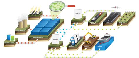 Grow Energy - Biomass Production Technology