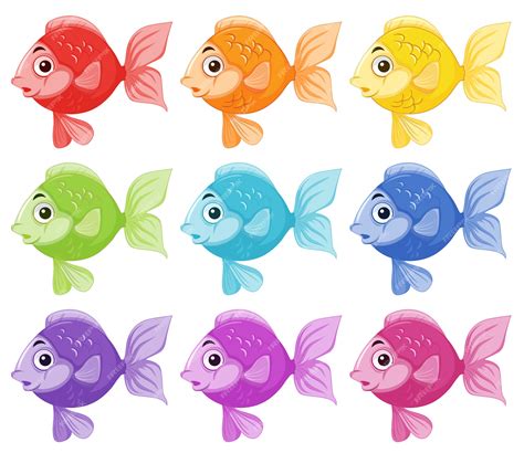 Premium Vector | Set of colorful fish