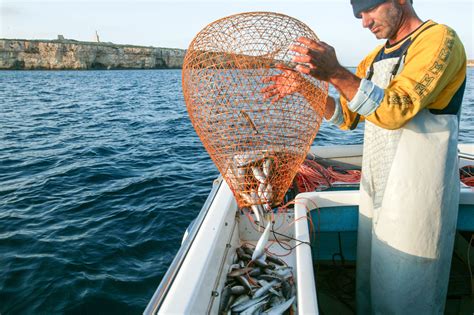 Fisherman and His Catch - IMB