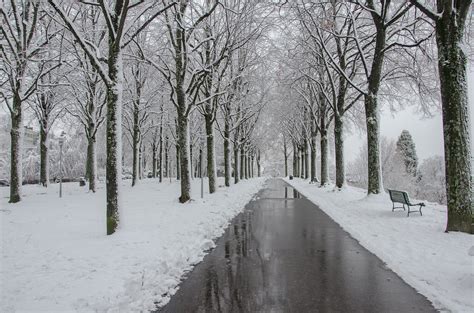 Winter in Lausanne, Switzerland | Parc de Valency | Jed Busalla | Flickr