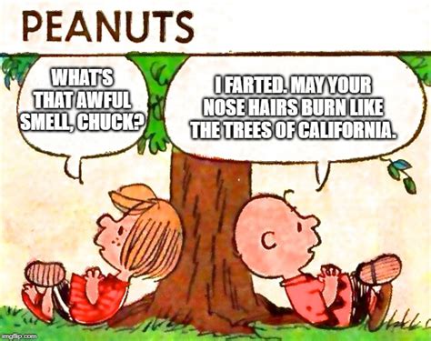 Peanuts Charlie Brown Peppermint Patty Memes - Imgflip