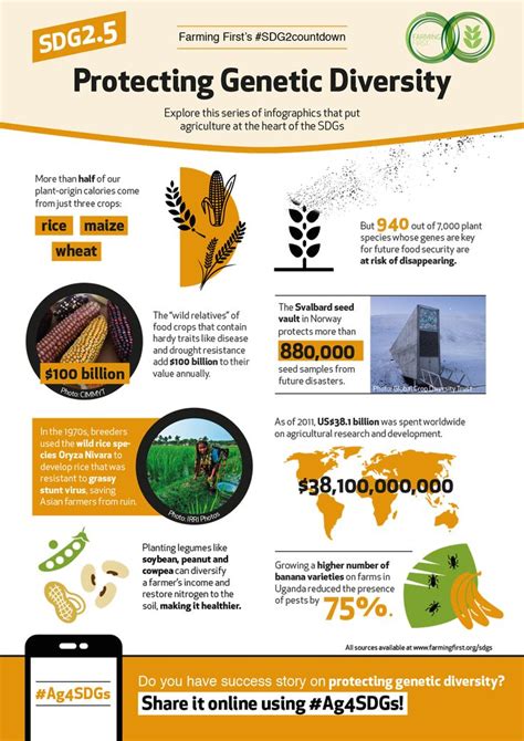 infographic: protecting genetic diversity | Genetics, Infographic, Diversity