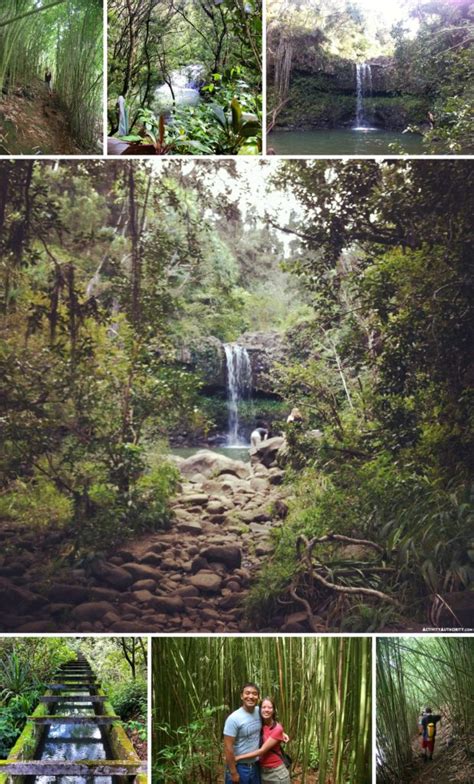 Maui Guided Hiking Tours | Halfway To Hana Hiking Tour