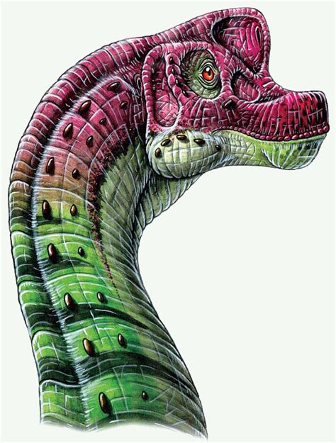 Giraffatitan Pictures & Facts - The Dinosaur Database