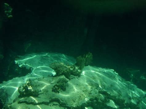 one of the rock formations underwater - Picture of Kayangan Lake, Coron - TripAdvisor