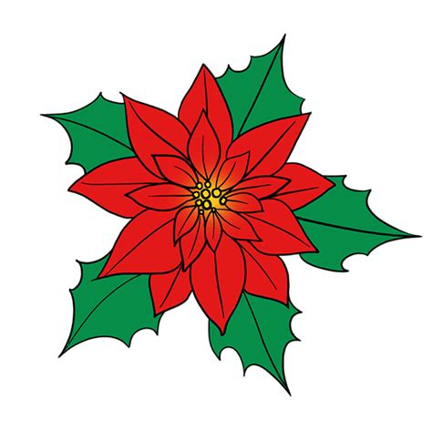 Download High Quality poinsettia clipart simple Transparent PNG Images - Art Prim clip arts 2019