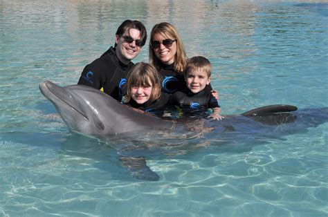 The Baima Family Blog: Swimming with Dolphins